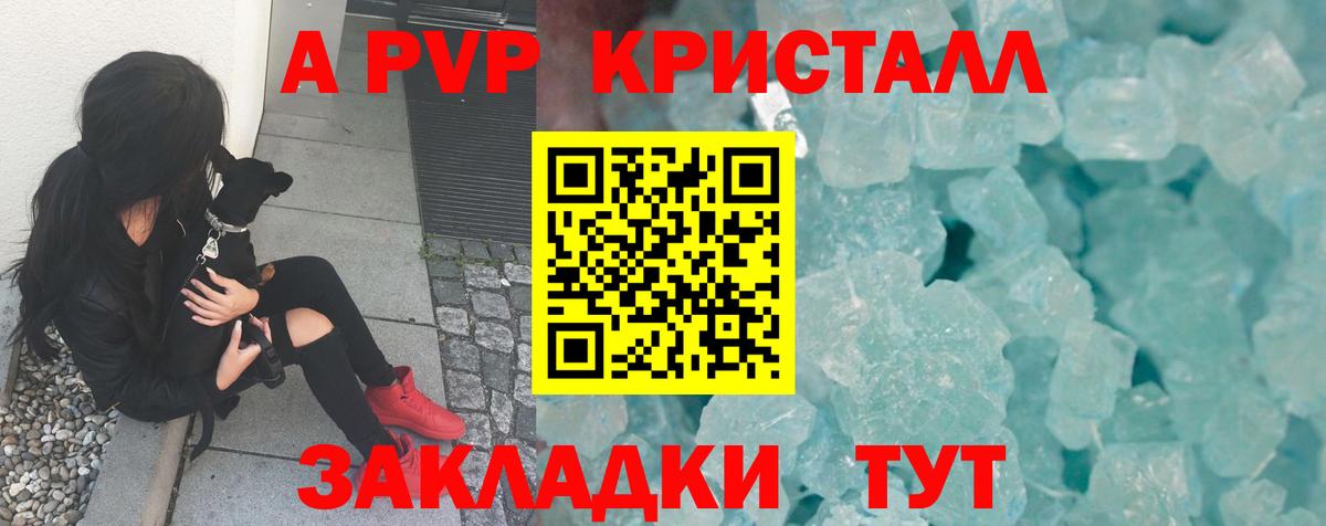 A PVP крисы CK Тобольск