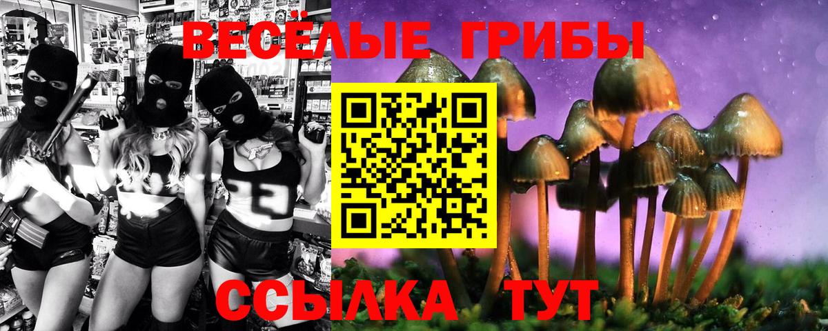 Псилоцибиновые грибы прущие грибы Тобольск